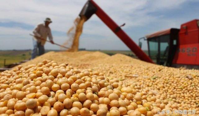 美國大豆出口大會閉幕，中國買家一顆沒買